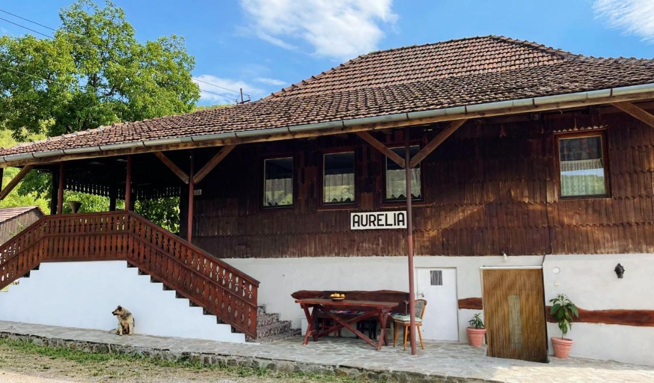 Готель Casa Aurelia Chiscau Екстер'єр фото